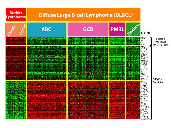A DNA microarray scan made of thousands of tiny glowing red, green and yellow dots in a grid